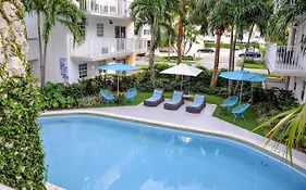 Coral Reef At Key Biscayne